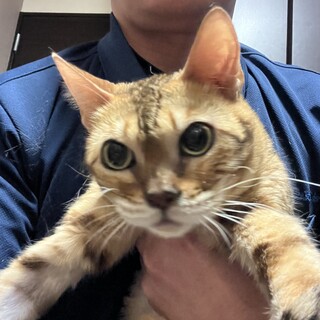 里親決定しました。