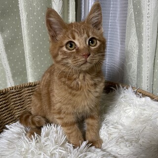 人が大好き♡甘えん坊のたけくん♡