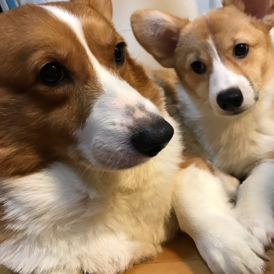 そらのカバー写真