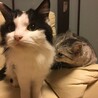 ゆーけ