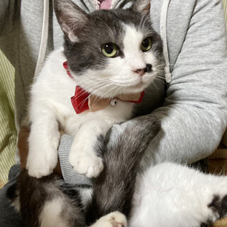 なでなで大好き♪水玉模様の『たまちゃん』