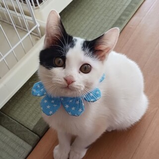 元気いっぱい食いしん坊な男の子・きよくん