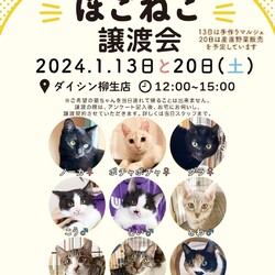 ほごねこ譲渡会　〜愛すべき野良猫の会〜