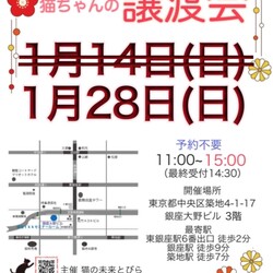 ★猫の未来とびら譲渡会★東銀座徒歩2分★東劇隣