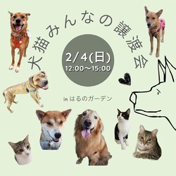 2/4(日)　第3回「犬猫みんなの譲渡会」（四街道市）