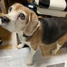 どうかお願い致します！ サムネイル2