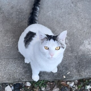 1歳の男の子⭐︎甘えん坊⭐︎