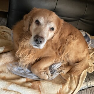 お願い致します！