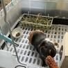 家族になって3日目の朝♡       