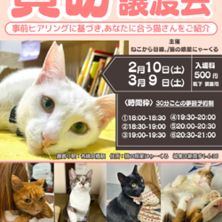 貸切保護猫の譲渡会