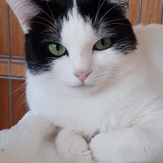 超絶美人☆　エミリー♀