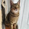 人が大好き甘えん坊のはなちゃん！