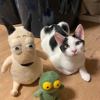  アピール上手のおしゃべりさん！（動画あり）