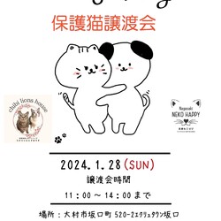 Hug Hug 保護猫譲渡会