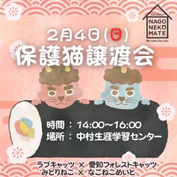 名古屋 保護猫譲渡会