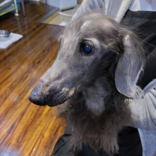 【トライアル決定】緊急募集です。【一時受付停止】