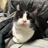 超超甘えん坊　べったりストーカー　ドラちゃん サムネイル2