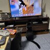超超甘えん坊　べったりストーカー　ドラちゃん サムネイル6