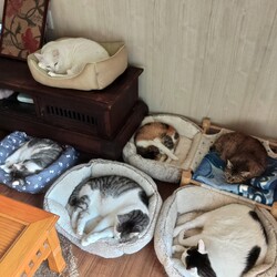 「はじめまして。」サムネイル3