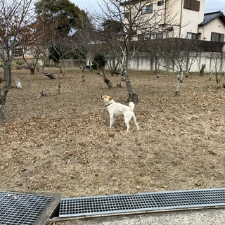 ありがとうございました