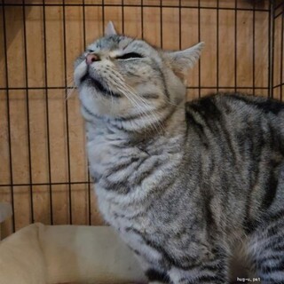 ちょっと人見知り　でも甘えたいくーちゃん