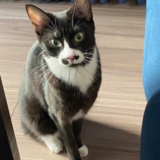 ツンデレ可愛い★ひじきちゃん