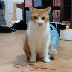 今年はご縁があると良いね