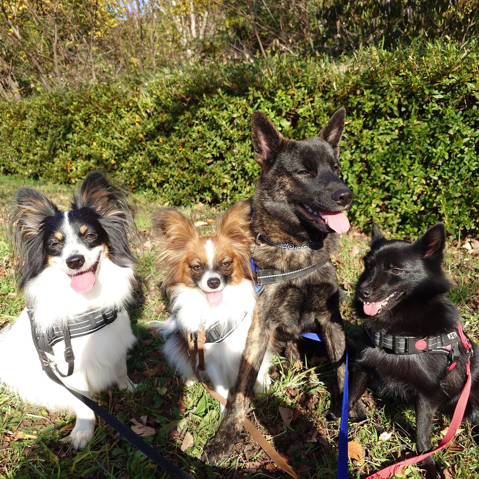 エマのカバー写真