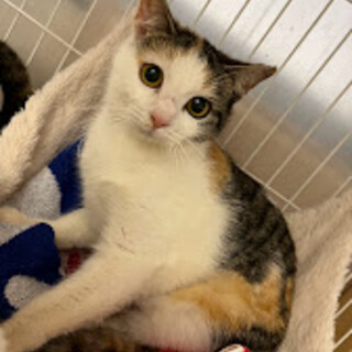 くりくりお目目が可愛いしのちゃん