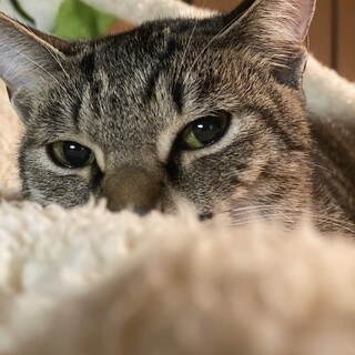 甘えん坊の天真爛漫な女の子です❁⃘*.ﾟ