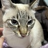 お布団、大好き。