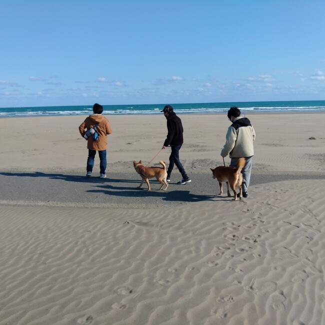 一般社団法人コットンマム　パウサポちばのカバー写真