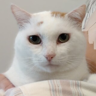 一緒に寝る甘えん坊　エルエル君♪