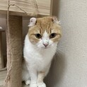 お引渡間近です