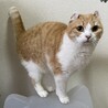 お引渡間近です サムネイル2