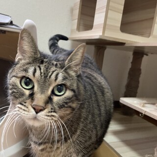 よろしくお願いします