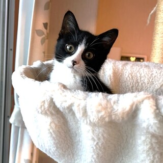 未来(みくる)：甘えん坊な男の子