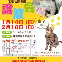 クローバー 保護猫譲渡会&TNR相談会 in 静岡市葵区