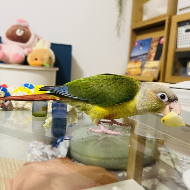 あやんきのカバー写真