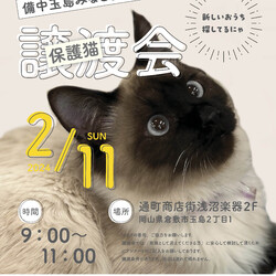 備中玉島みなと朝市