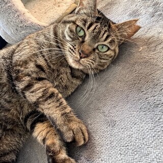 グリーンアイが素敵な女の子♪