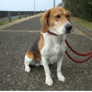 ありがとうございました！