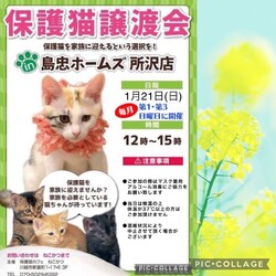 1月21日（日）島忠ホームズ所沢店譲渡会！