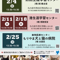 ▼猫の譲渡会▼名古屋市港区