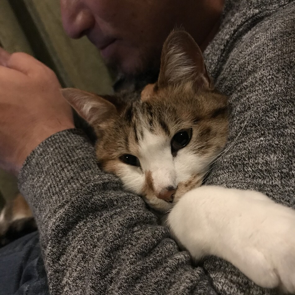 しゅりのカバー写真