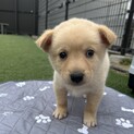 よちよちの赤ちゃんです