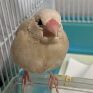 たくさんのご応募ありがとうございました。