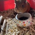 宜しくお願い致します！