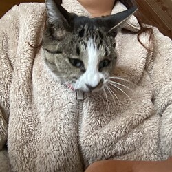 「寒くって」サムネイル2