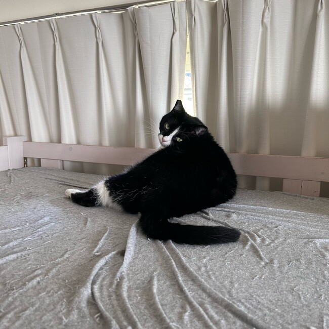 ぽんずのこのカバー写真
